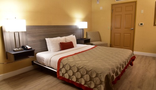 Room, 1 King Bed, Accessible, Non Smoking (Mobility/Hearing)