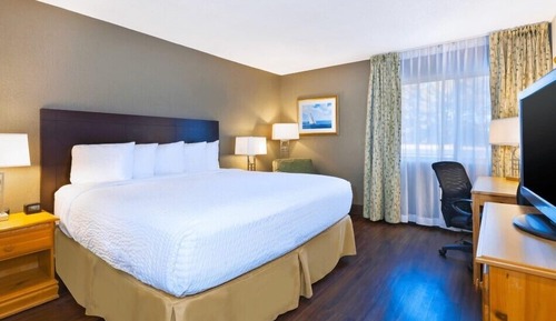 Room, 1 Queen Bed, Non Smoking (Pet Friendly)