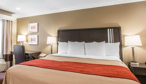 Standard Room, 1 King Bed, Accessible Tub, Non Smoking