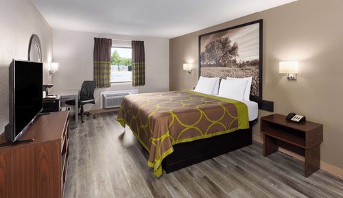 Room, 1 King Bed (Hearing, Mobility Roll-In Shower)