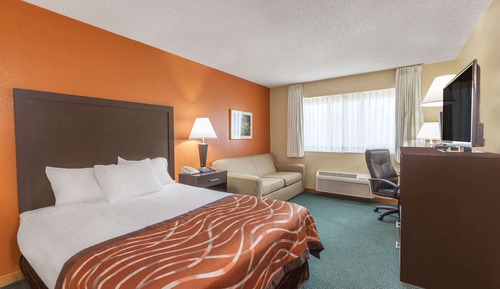 Standard Suite, 1 King Bed with Sofa bed, Non Smoking