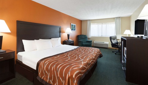 Standard Room, 1 King Bed, Non Smoking