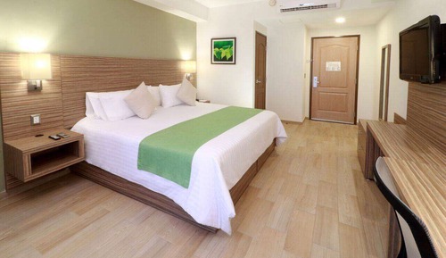 Room, 1 King Bed, Non Smoking