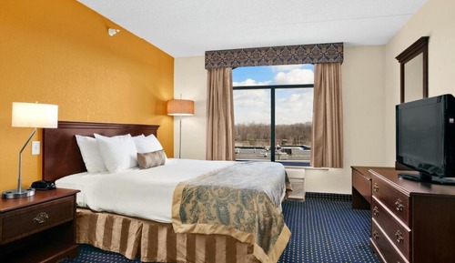 Standard Room, 1 King Bed, Non Smoking