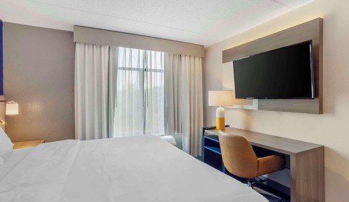 Suite, 1 King Bed with Sofa bed, Non Smoking