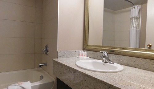 Business Room, 1 King Bed, Non Smoking