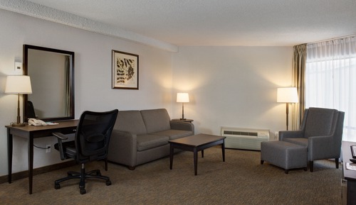 Studio Suite, 1 King Bed, Non Smoking