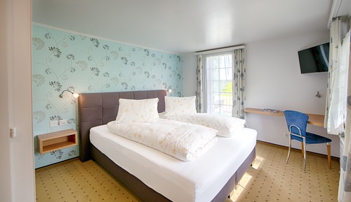 Economy Double Room Single Use, 1 Queen Bed