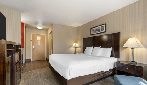 Standard Room, 1 King Bed, Non Smoking (Pet Friendly)