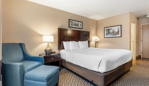 Standard Room, 1 King Bed, Non Smoking