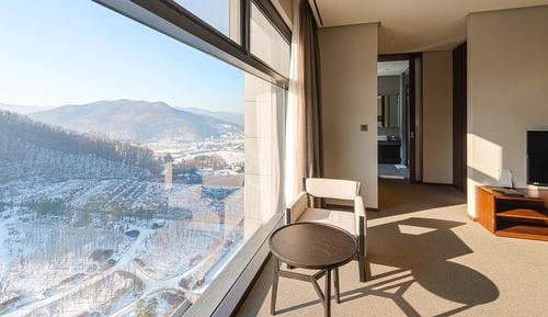 Room (Premier Double (Mountain View))