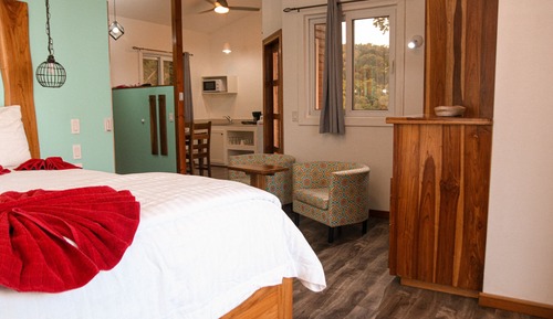 Luxury Tree House, 1 King Bed, Sea View