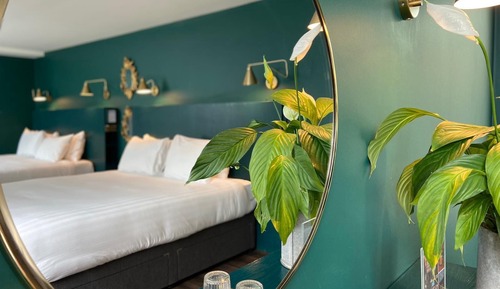 Deluxe Double and Twin Room