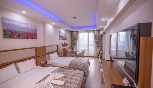 Double or Twin Room, Mountain View