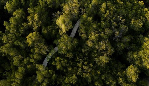 Founder's Home ( free watersport and trekking)