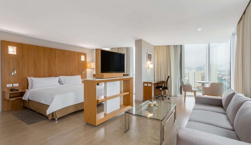 Room, 1 King Bed, Non Smoking