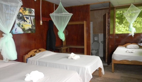 Panoramic Room