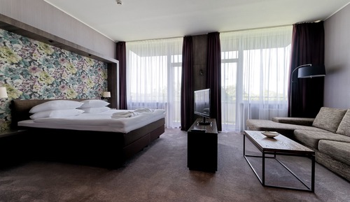 Studio, Balcony (with SPA Access)