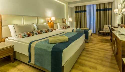 Standard Twin Room, Mountain View