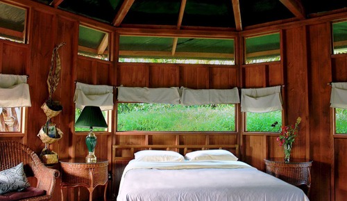 Standard Cabin (Mango)