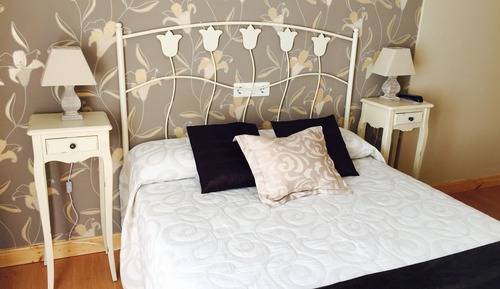 Superior Single Room