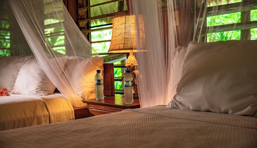 Deluxe Cabana (2 Queens)