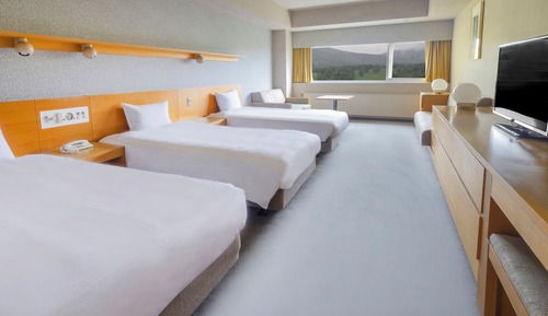 Premium Room, Multiple Beds