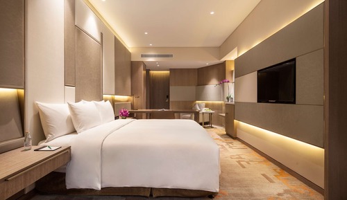 Business Room (Business Class)