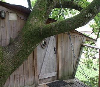 Tree House
