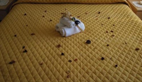 Family Room with Private Bathroom