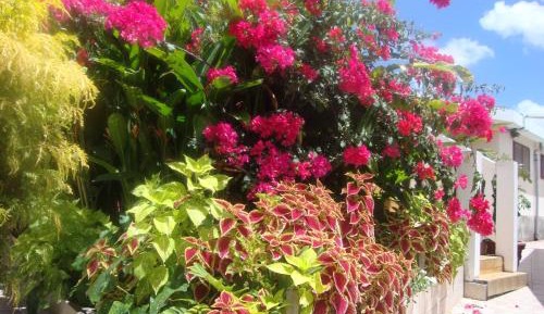Apartment with Garden View