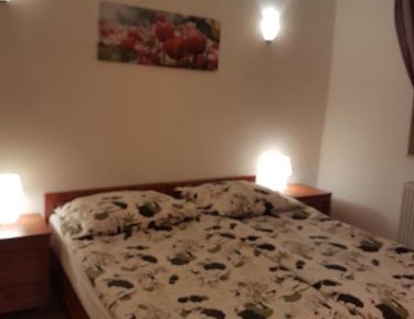 Large One-Bedroom Apartment