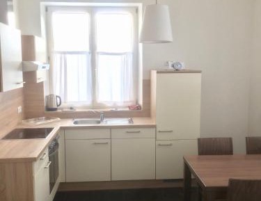 Large One-Bedroom Apartment