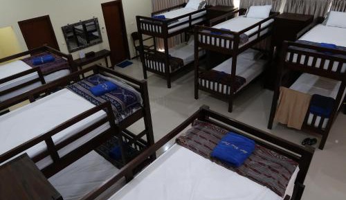 Bunk Bed in Mixed Dormitory Room