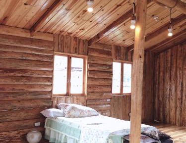 Bed in 10-Bed Mixed Dormitory Room