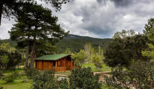 Wood Cabin (5-6 adults)