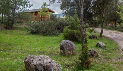 Wood Cabin (3 adults)