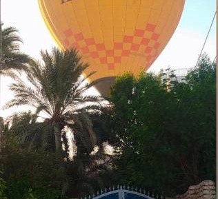 Two-Bedroom Standard Apartment