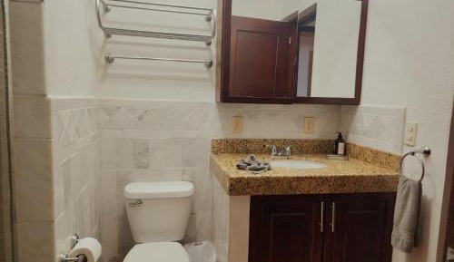 One-Bedroom Apartment with View