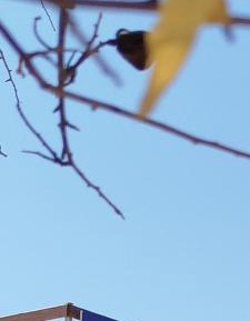 Studio with Sea View