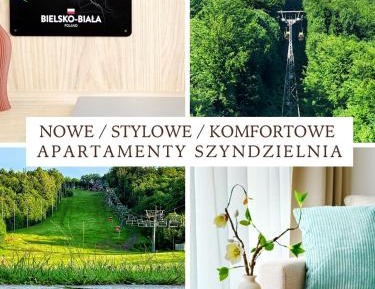 Superior One-Bedroom Apartment with Balcony