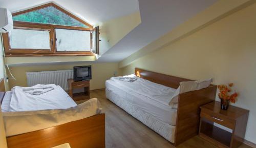 Triple Room with Mountain View