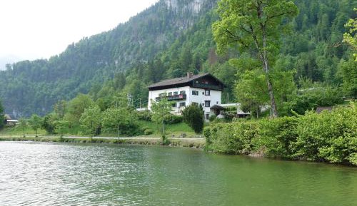 Superior One-Bedroom Apartment