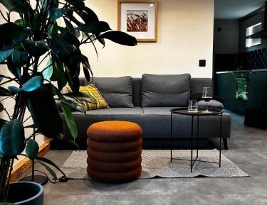 Superior One-Bedroom Apartment