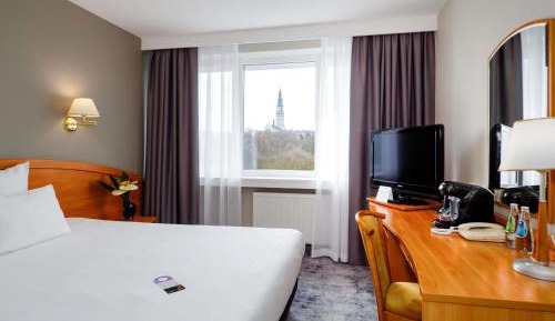 Superior Double Room with Park View