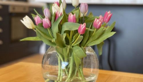 Two-Bedroom Holiday Home