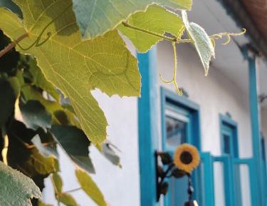 Two-Bedroom Townhouse