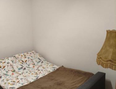 Mixed Dormitory Room