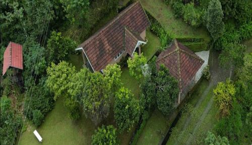King Room with Mountain View