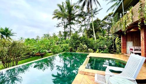 King Room with Pool View